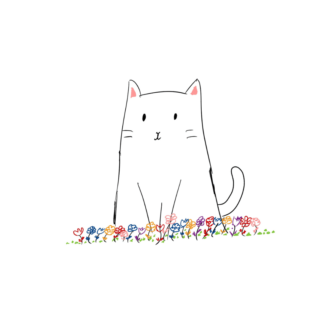 Portfolio Website